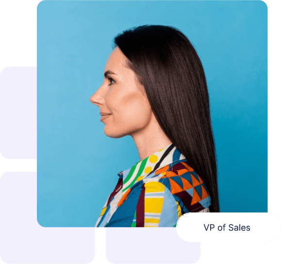 Profile of a person with long dark hair, wearing a colorful geometric-patterned shirt, against a blue background. A label in the bottom right corner reads, "VP of Sales.