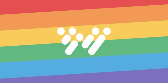 Rainbow flag background with horizontal stripes in red, orange, yellow, green, blue, and purple. Centered is a white abstract logo composed of several dots and lines, suggesting stylized human figures.